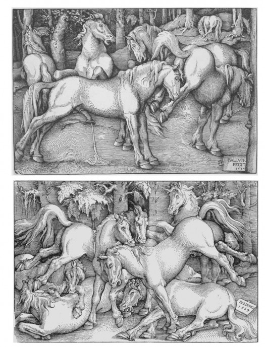 The PAIR a) Fighting Horses b) Stallion Attempting to Mate