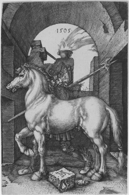 The Small Horse