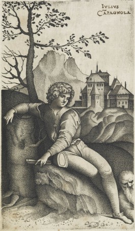 The Young Shepherd
